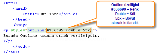 Outlines, Padding, Positioning, Table, Text, Pseudo-classes, Pseudo-elements