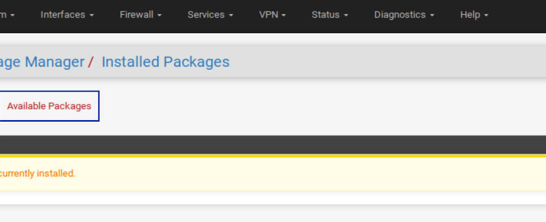 Pfsense Squid ve SquidGuard Paketlerinin Kurulması 2025